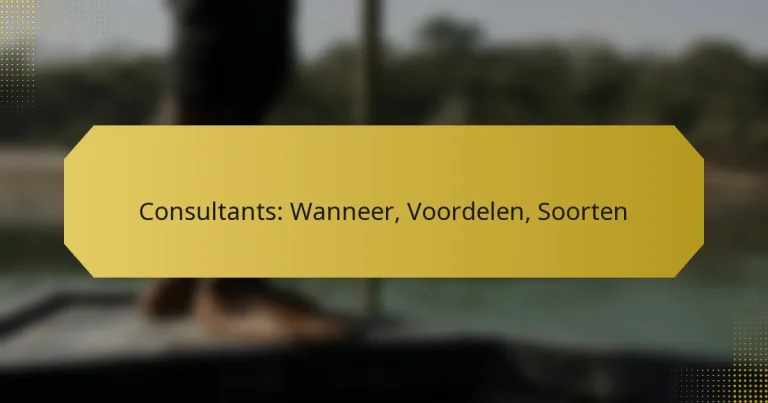 Consultants: Wanneer, Voordelen, Soorten