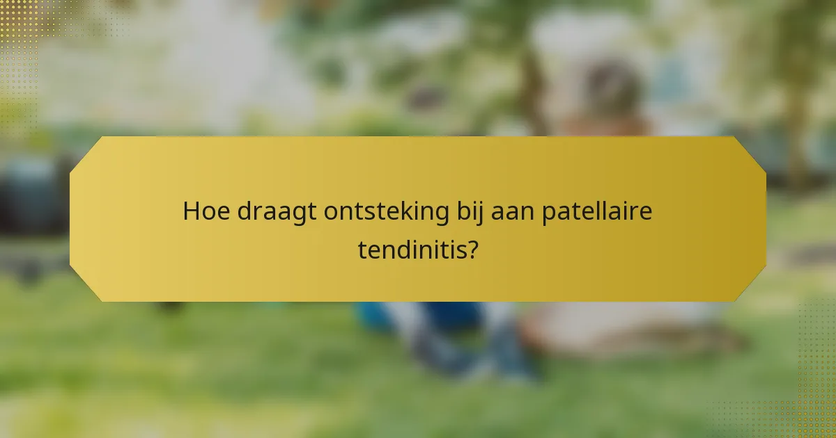 Hoe draagt ontsteking bij aan patellaire tendinitis?